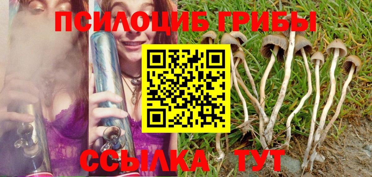Псилоцибиновые грибы ЛСД Феодосия