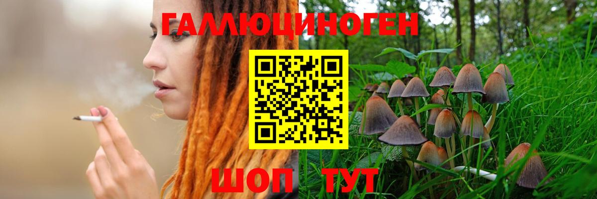 Феодосия  Псилоцибиновые грибы мухоморы  Вход с VPN 